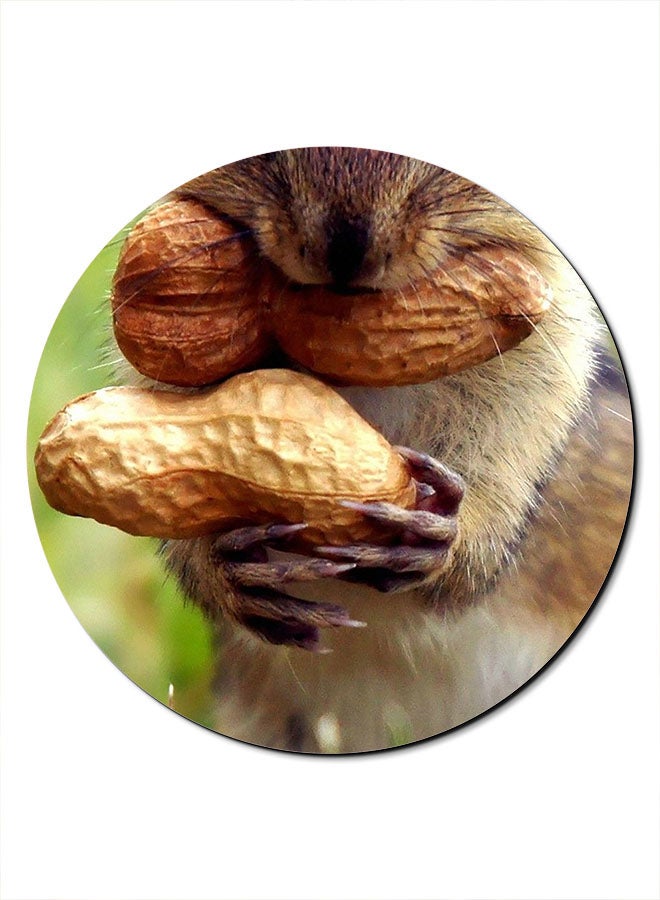 Theodor Squirrel Peanet Printed Smooth Anti-Slip Mousepad Multicolour - Image 1