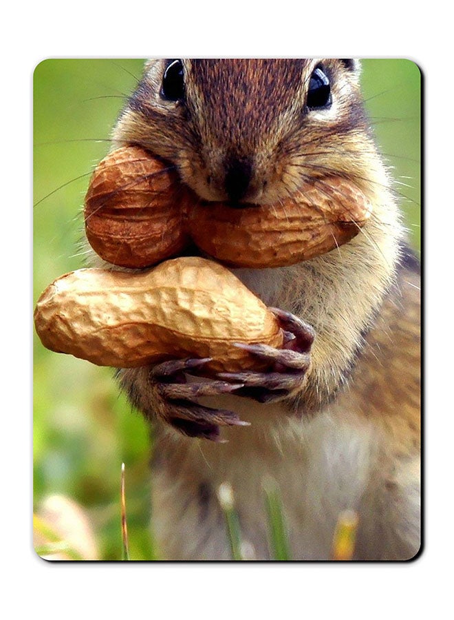 Theodor Squirrel Printed Smooth Anti-Slip Mousepad Multicolour - Image 1