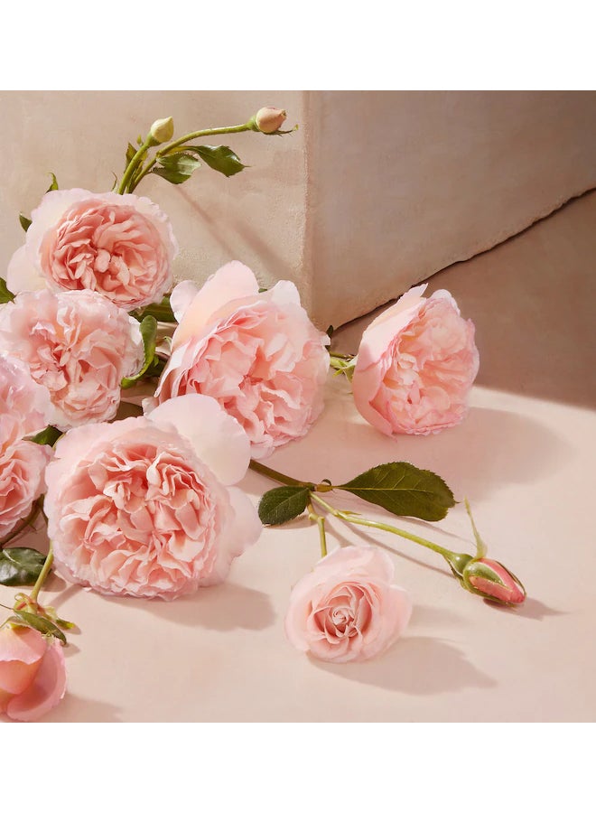 Chloe Roses De EDT 75ml - Image 4