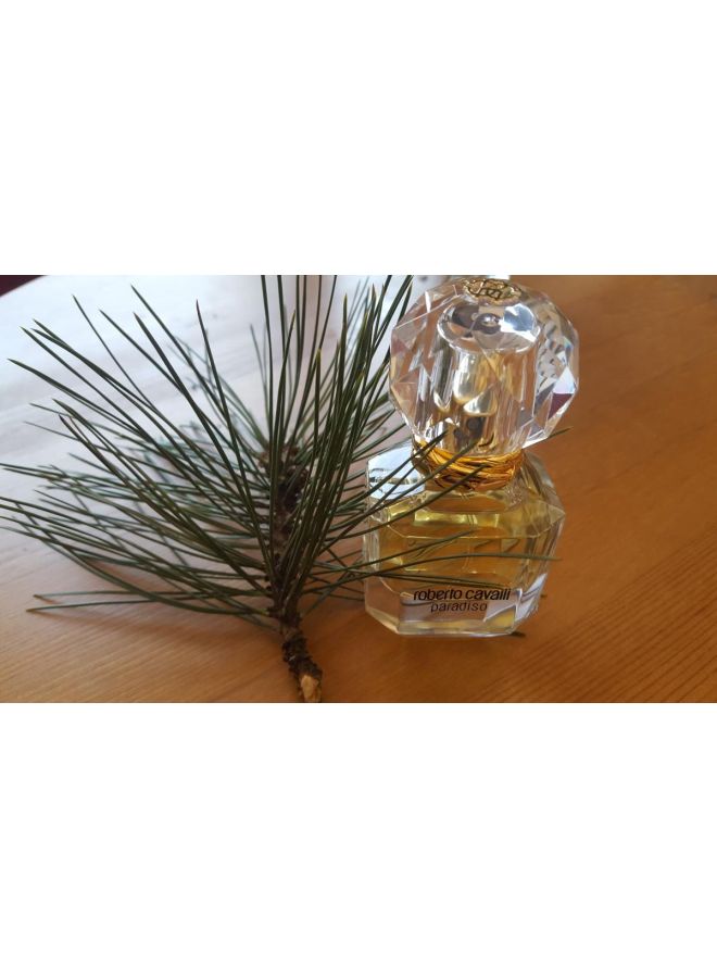 roberto cavalli - Paradiso EDP 30ml - Image 1