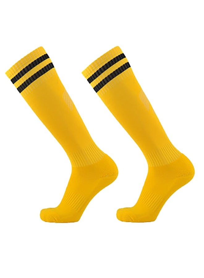 Generic Pair Of Soccer Socks 