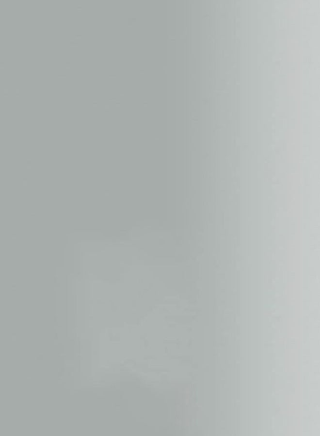 RUST-OLEUM - Metallic Spray Paint Silver - Image 1