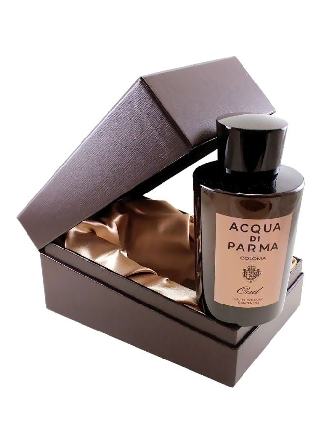 Colonia Oud Concentree EDC 30ml