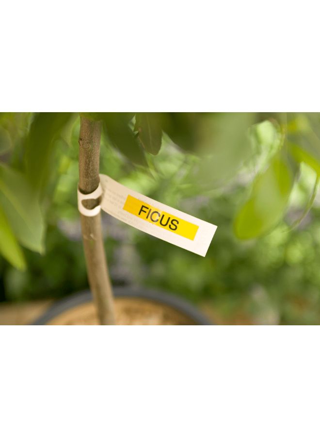 بروذر شريط تسمية مغلف لون أصفر بنص لون أسود، مقاس 9 مم ×8 متر، طراز TZe-621 أسود/أبيض - Image 4