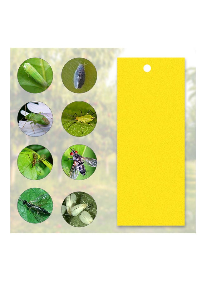 مجموعة مصائد لاصقة للفطريات والحشرات الطائرة التي يمكن أن تصيب النباتات مكونة من 20 قطعة أصفر 25.20x0.70x20.20سم - Image 5