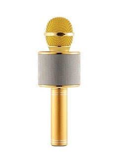 Bison Wireless Karaoke Microphone WS858 Gold/Silver  - Image 2