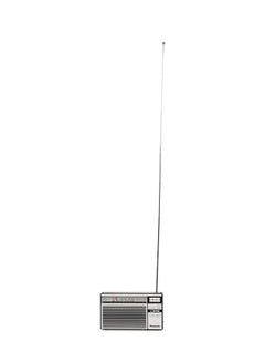 Panasonic Dual Band Portable Radio R-218DDGC-S Silver/Black  - Image 4