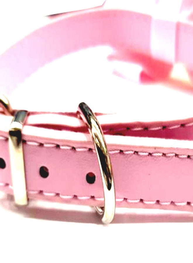Al Theqa Kitten Collar With Bell Multicolour 38cm - Image 2