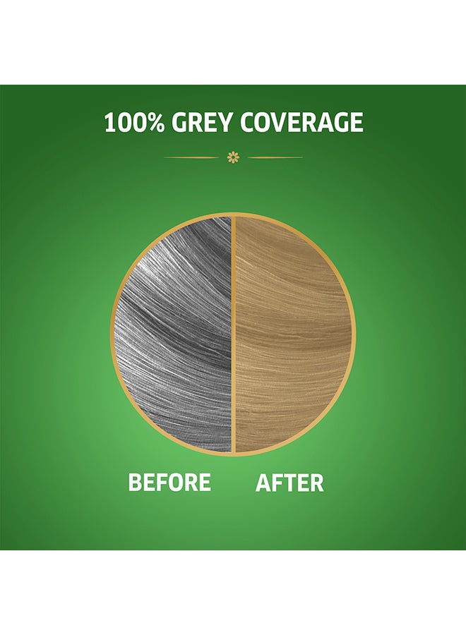 WELLA Koleston Naturals Hair Color 11/7 Vanilla Blonde  - Image 3