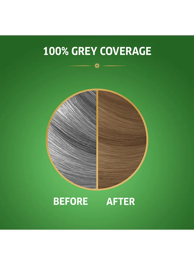 WELLA Koleston Naturals Hair Color 8/1 Golden Wheat
