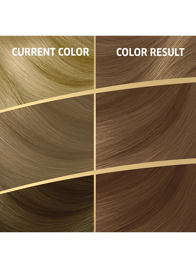 WELLA Koleston Naturals Hair Color 8/1 Golden Wheat