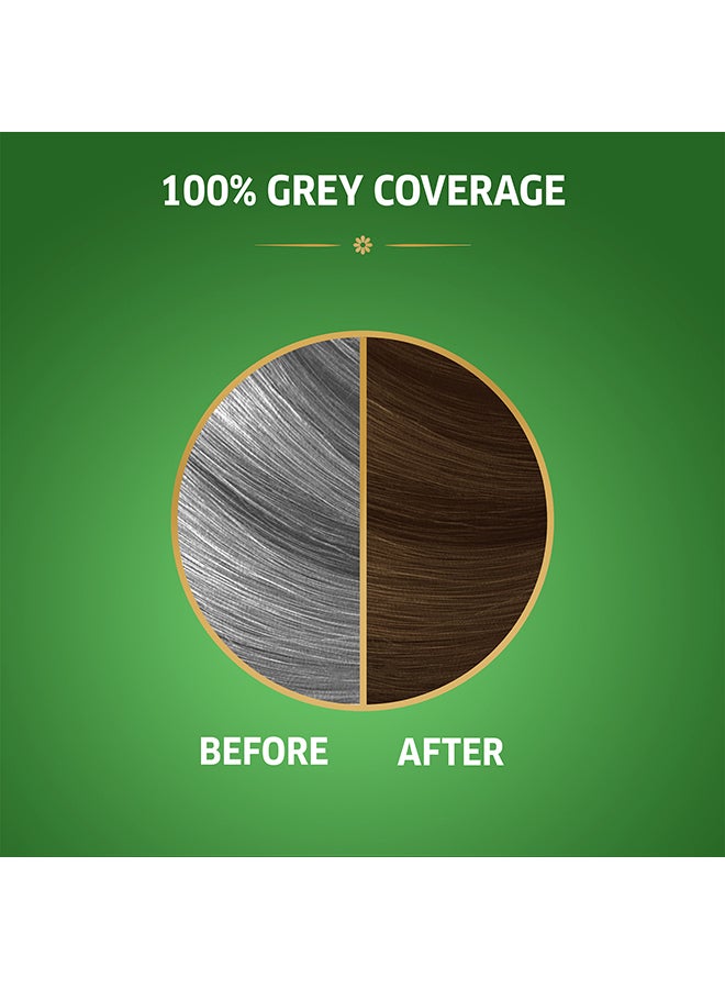 WELLA Koleston Naturals Hair Color 7/0 Almond Blonde  - Image 3