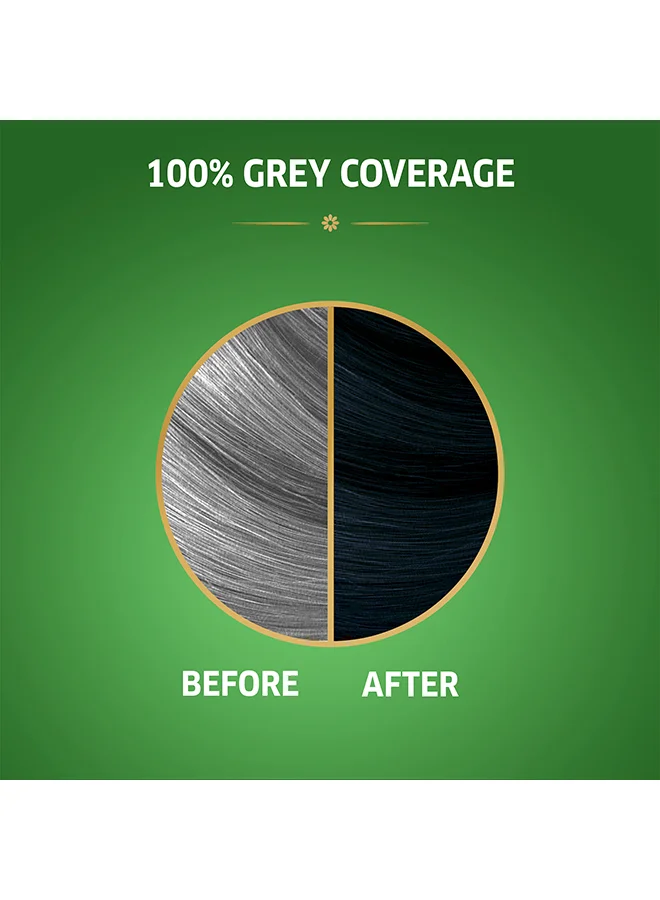 WELLA Koleston Naturals Hair Color Blueberry Black 2/8