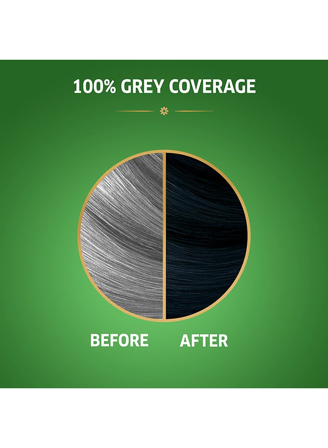 WELLA Koleston Naturals Hair Color Blueberry Black 2/8  - Image 3