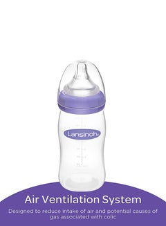 Lansinoh Pack Of 3 Feeding Bottles 8oz  - Image 2
