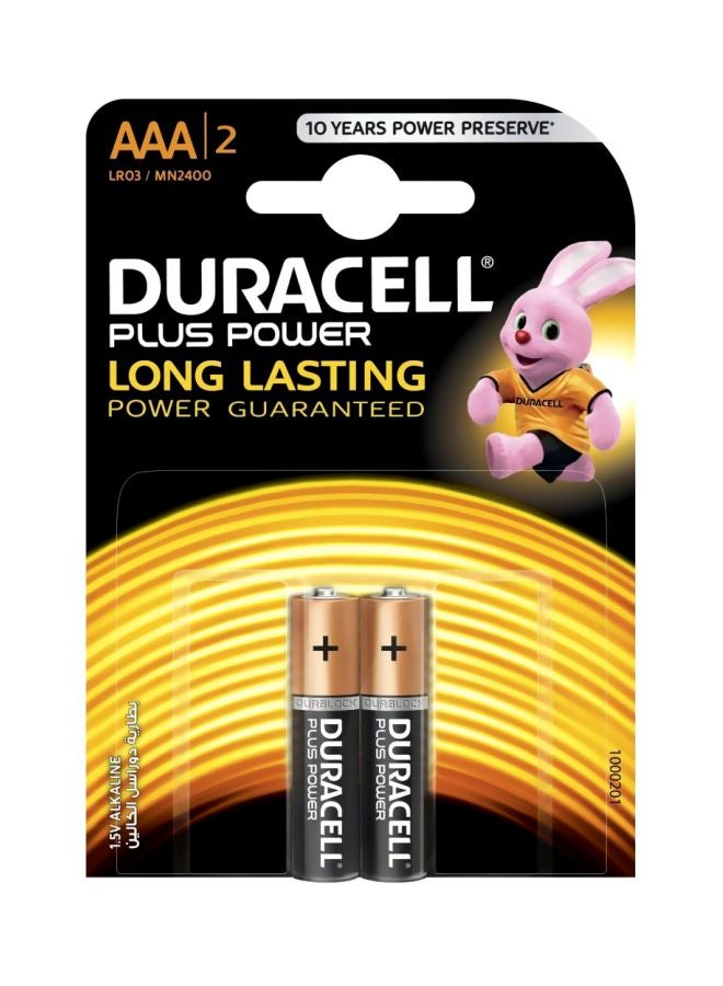 Duracell Plus Power Alkaline Batteries Black/Gold - Image 1