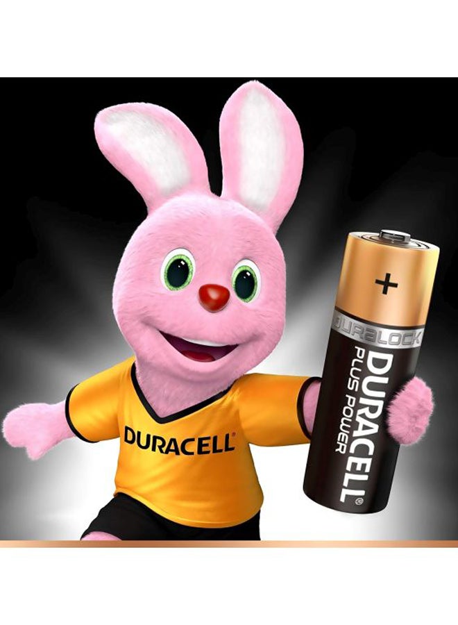 Duracell Plus Power Alkaline Batteries Black/Gold - Image 3