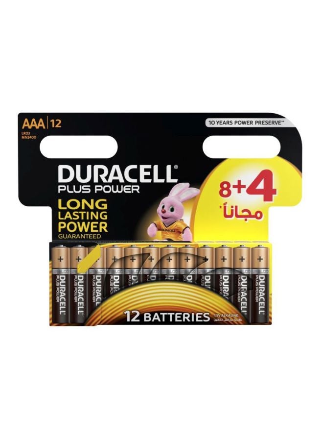 Duracell 12-Piece Plus Power AAA Batteries Black/Beige/White - Image 1