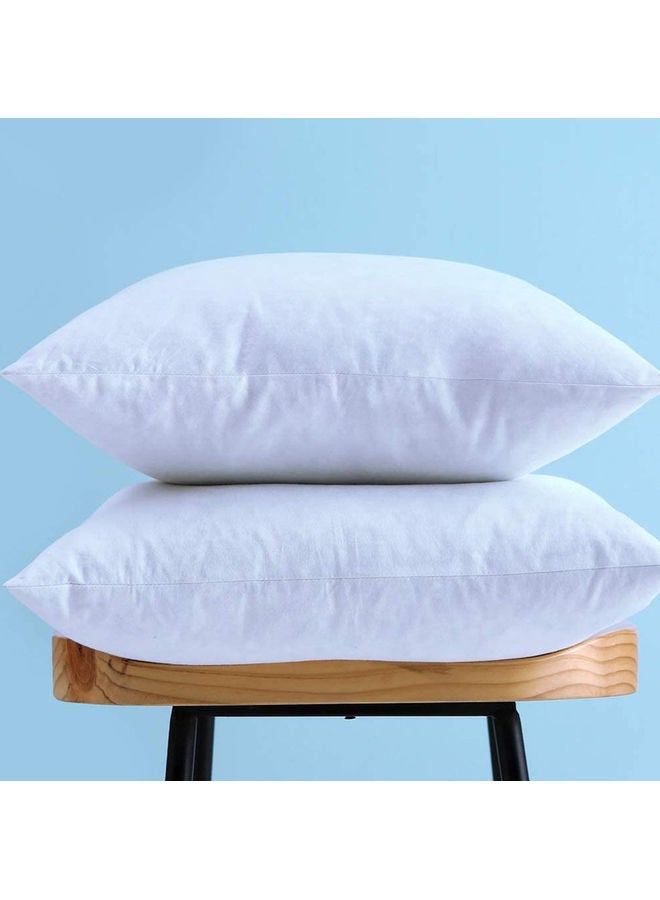 Cushion Filler-Fabric: Non Woven 70gsm-Filling: 250grms Hollow Siliconized Fiber Polyester White 40x40cm - v1623934340/N48431124A_2