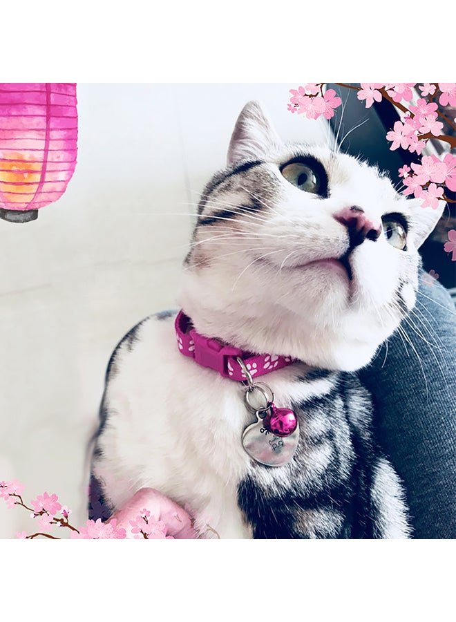 Buckle Collar For Cat Pink/White 32x1cm - v1623954331/N47526982A_4