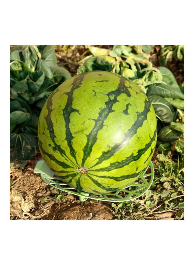 Generic 10-Piece Stable Hollow Melon Cradles Green  - Image 3