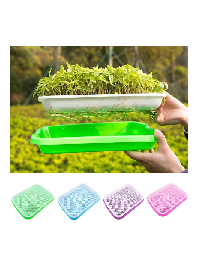 Generic Germinating Pot Pink  - Image 3