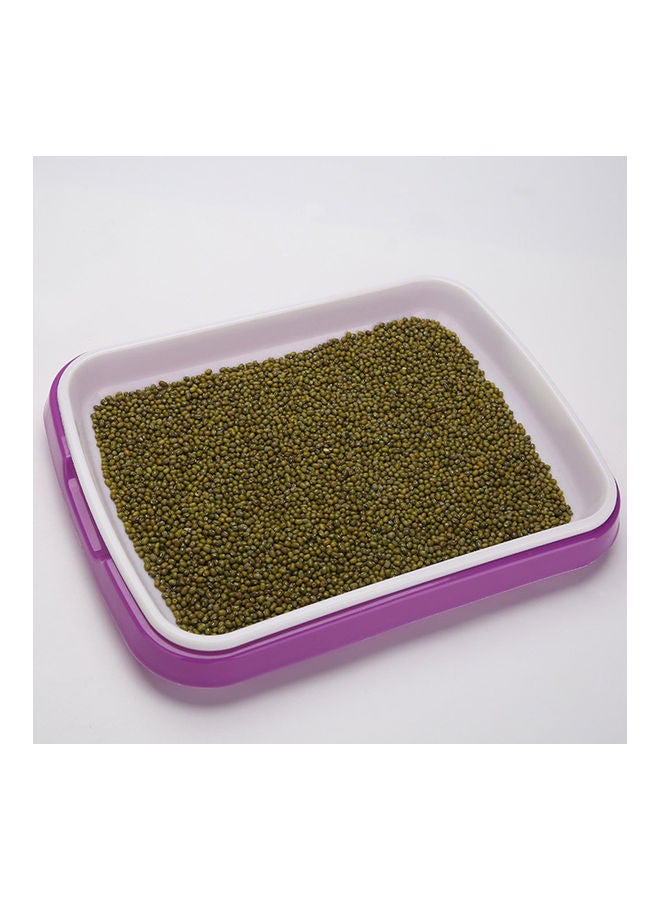 Generic Germinating Pot Pink  - Image 5
