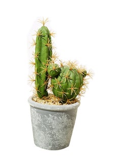 Generic Beautiful Fake Cactus Plant Green/Grey 