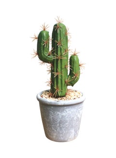 Generic Beautiful Fake Cactus Plant Green/Grey 