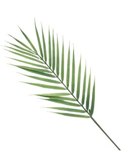 Generic Artificial Plants Tropical Realistic Plastic Leaf Green 