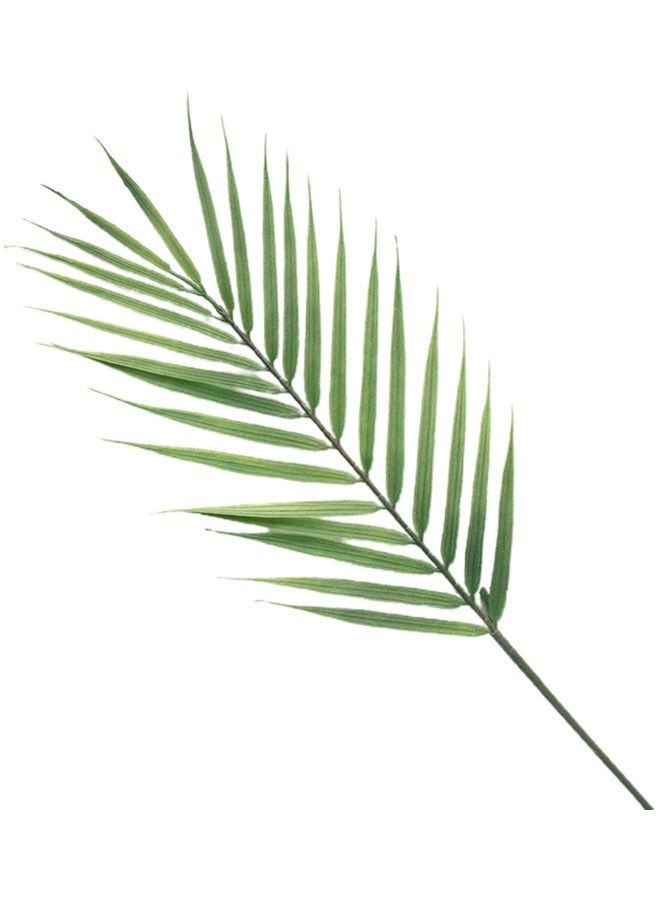 Generic Artificial Plants Tropical Realistic Plastic Leaf Green 