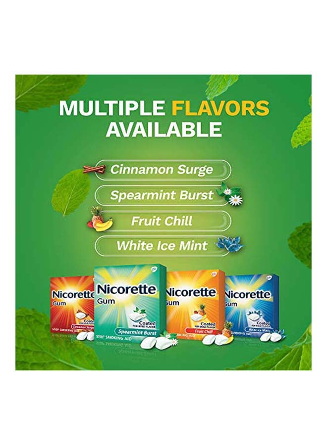 nicorette Nicotine Gum Spearmint Flavor 4mg  - Image 5