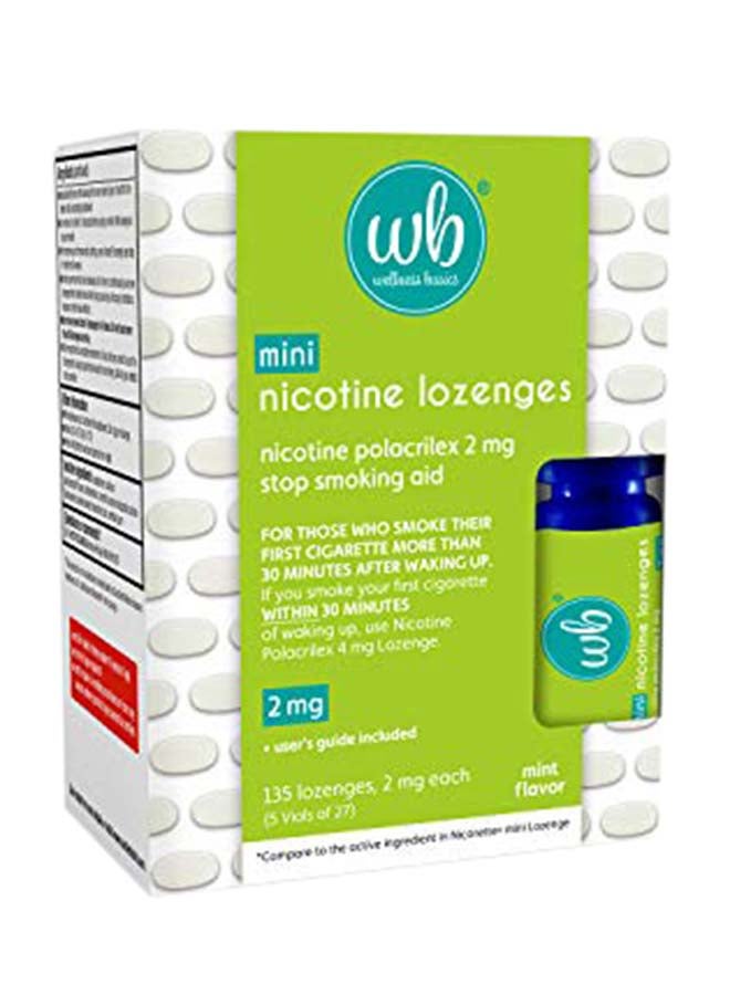 wellness basics Mini Nicotine Lozenge- Mint Flavor 2mg - Image 1