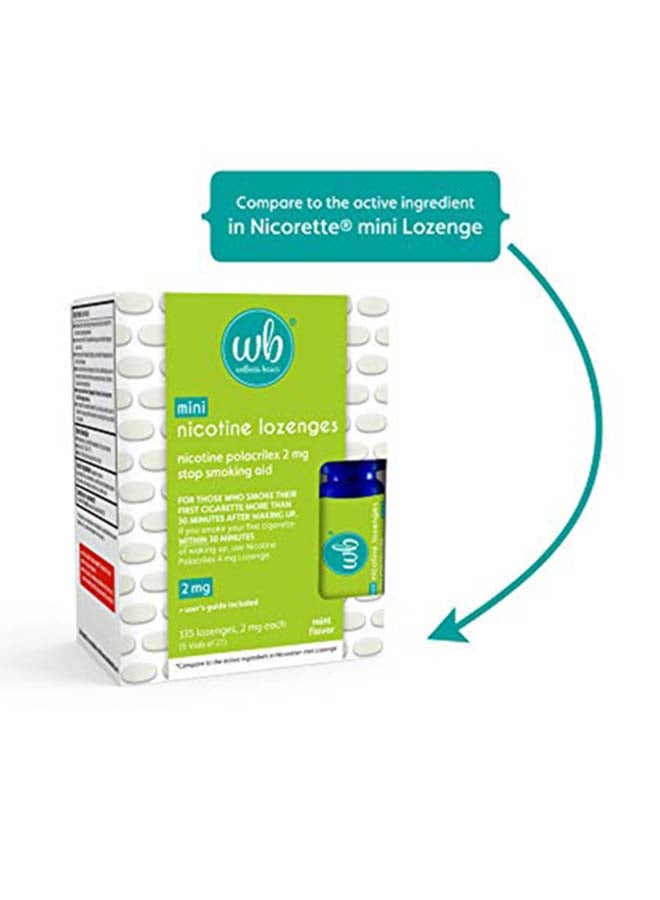 wellness basics Mini Nicotine Lozenge- Mint Flavor 2mg - Image 2