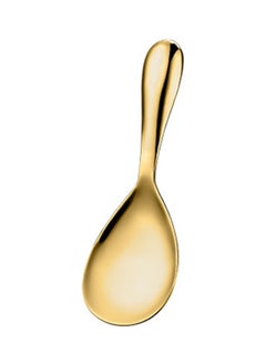 Generic Non-stick Portable Convenient Thicken Rice Spoon Luxury Gold 