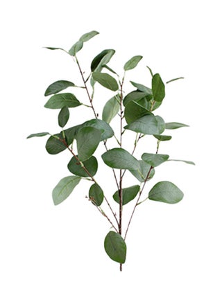 Simulation Eucalyptus Leaf Bunch Light Green - v1624353498/N48404575A_1