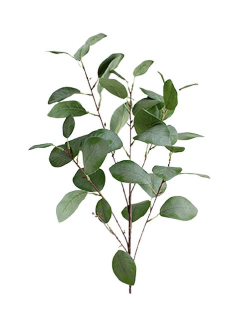 Simulation Eucalyptus Leaf Bunch Light Green