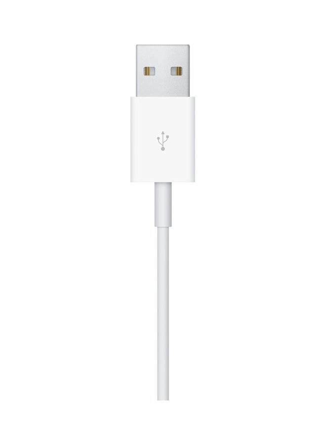 Apple - Magnetic Charging Cable White - Image 1