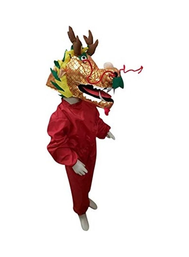 زي تنكري للأطفال بعمر 8-7 سنوات، على شكل تنين صيني من BookMyCostume 13x10x5بوصة - Image 3