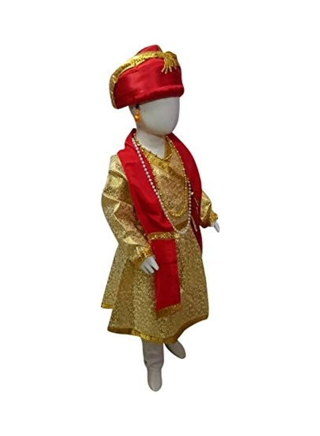 Historical King Darbar Mantri Fancy Dress Costume 3 – 4  - Image 3