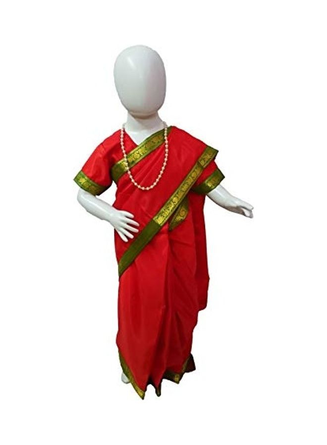 Professional Fancy Dress Costume - Image 1