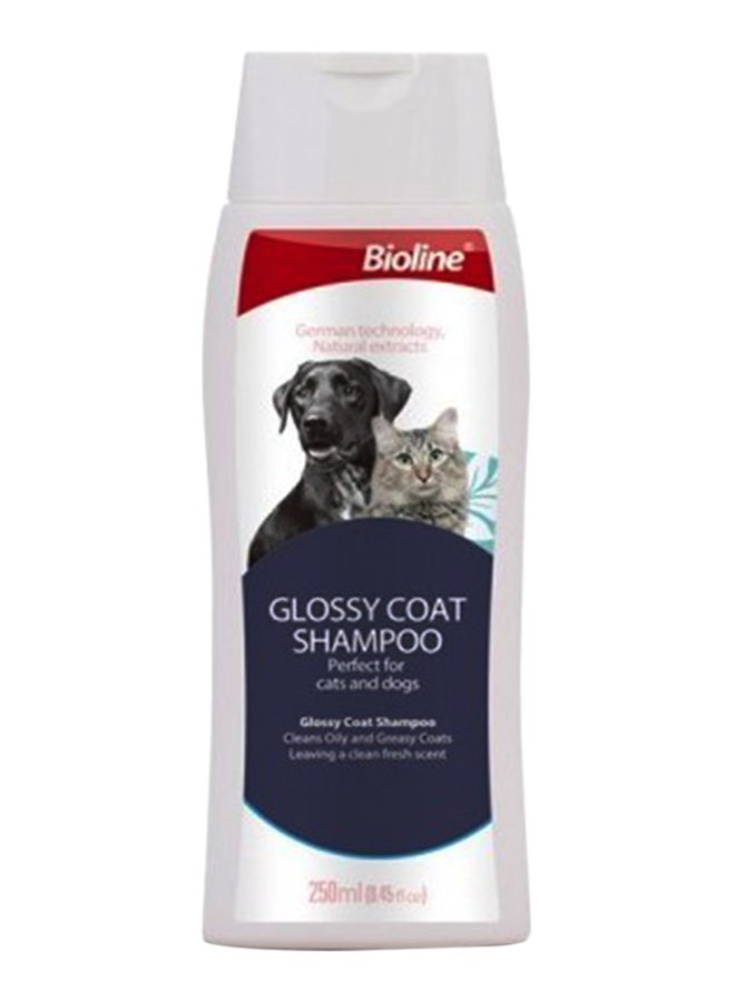 Bioline Glossy Coat Shampo White 250ml 