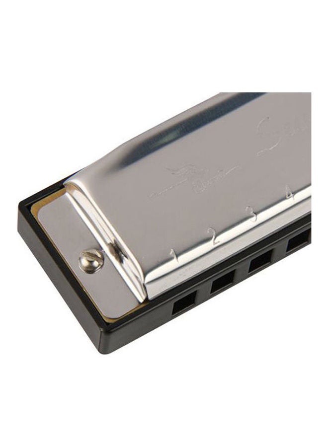 Swan Metal 10 Holes C Key Harmonicafor Beginners - Image 1