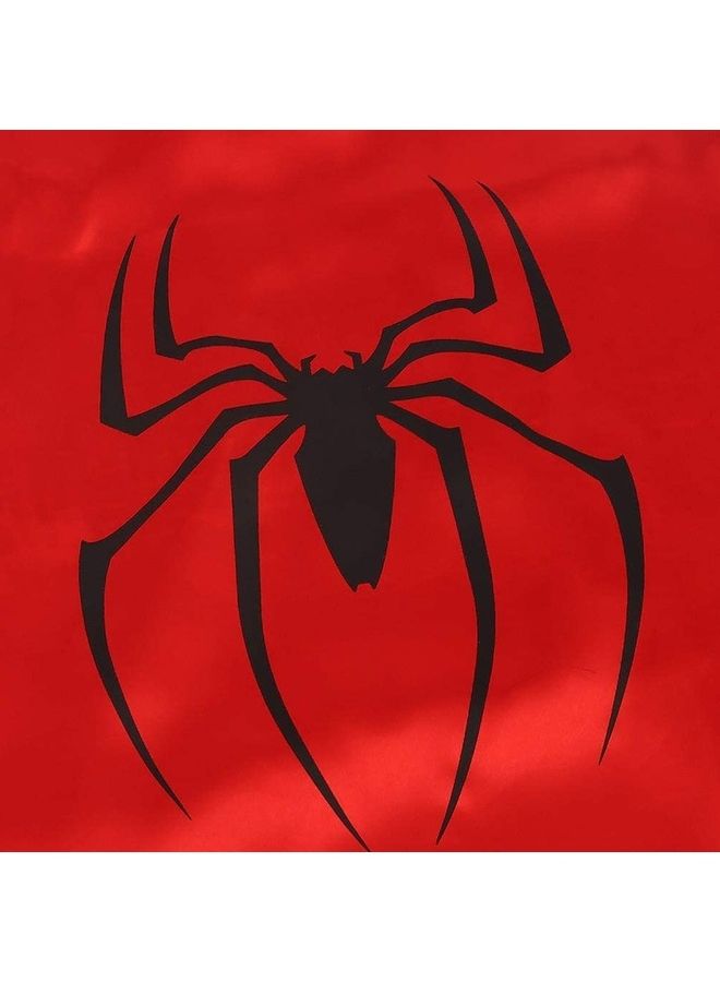 Double Sided Spider Man Costume Cape And Mask Set  - Image 2