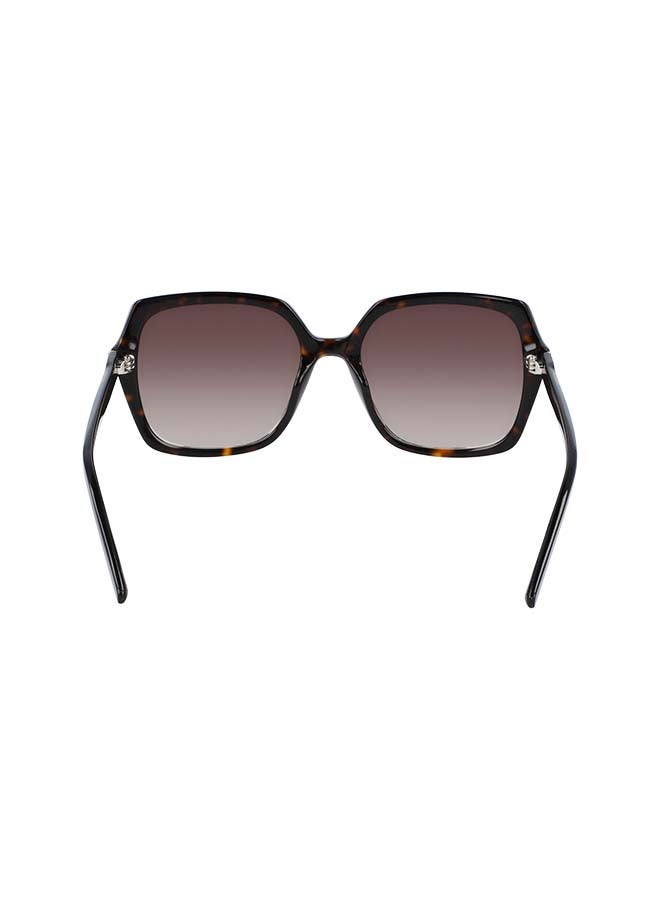 CALVIN KLEIN Women's Full Rimmed Square Frame Sunglasses CK20541S-235  - Image 4