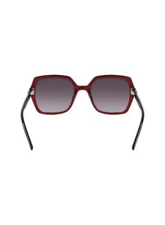 CALVIN KLEIN Women's Full Rimmed Square Frame Sunglasses CK20541S-605  - Image 5