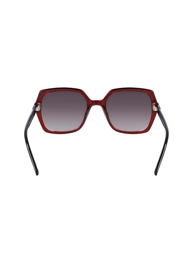 CALVIN KLEIN Women's Full Rimmed Square Frame Sunglasses CK20541S-605  - Image 5