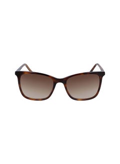 Women's Full Rim ZYL Soft Tortoise Square  Sunglasses DK500S-240-5418