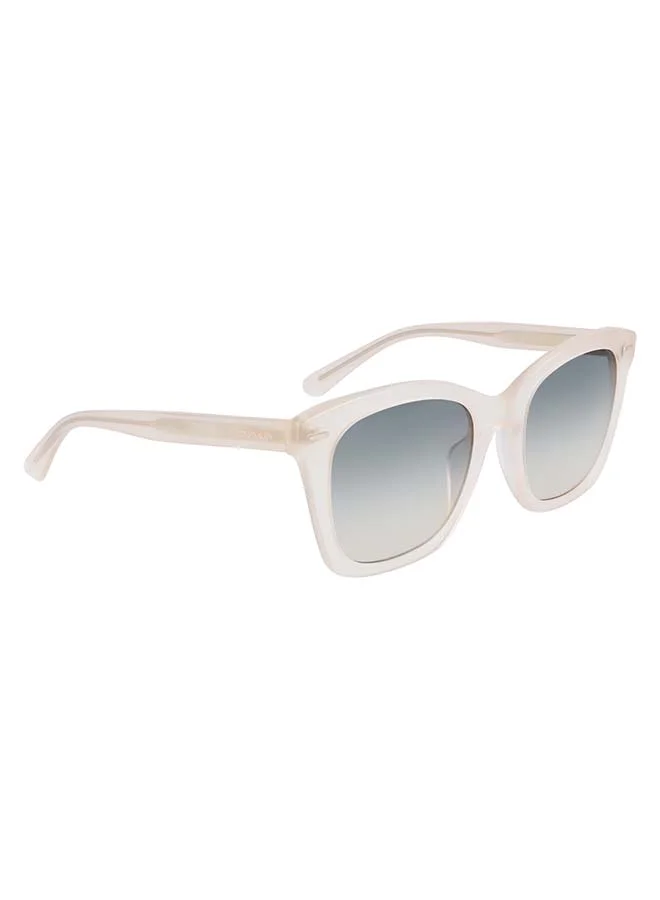 CALVIN KLEIN Full Rim ZYL Square  Sunglasses CK21506S-664-5221