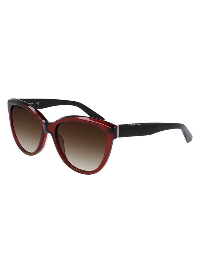 CALVIN KLEIN Women's Full Rim ZYL Modified Rectangle  Sunglasses CK21709S-605-5618  - Image 2
